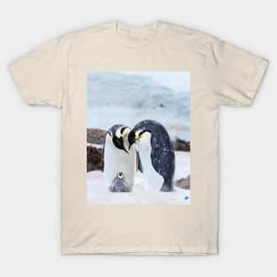 Penguin Family T-Shirt